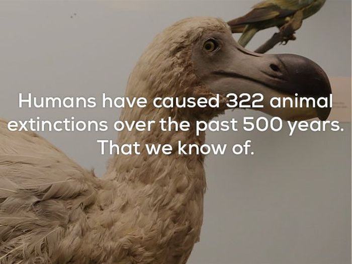 Disturbing Facts That Will Chill You To Your Very Core (21 pics)