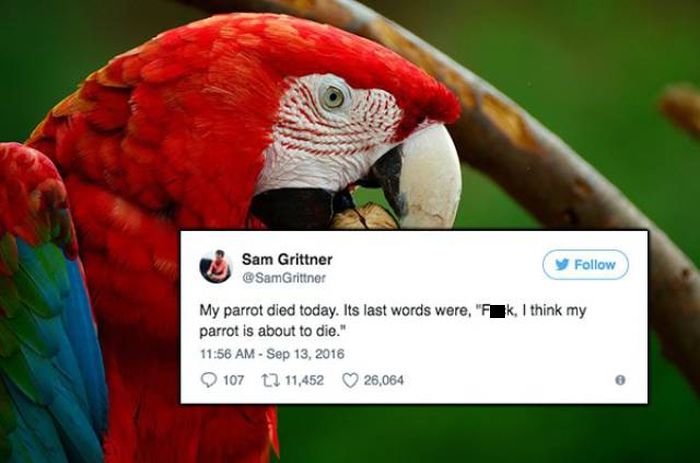 Hilarious Tweets That Only Evil People Will Laugh At (22 pics)