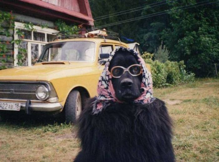 Acid Picdump (101 pics)