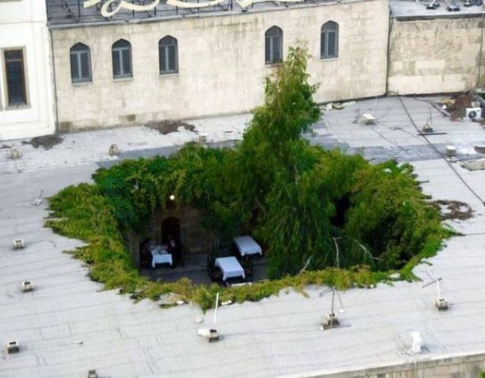 Acid Picdump (101 pics) Acid Picdump (101 pics)