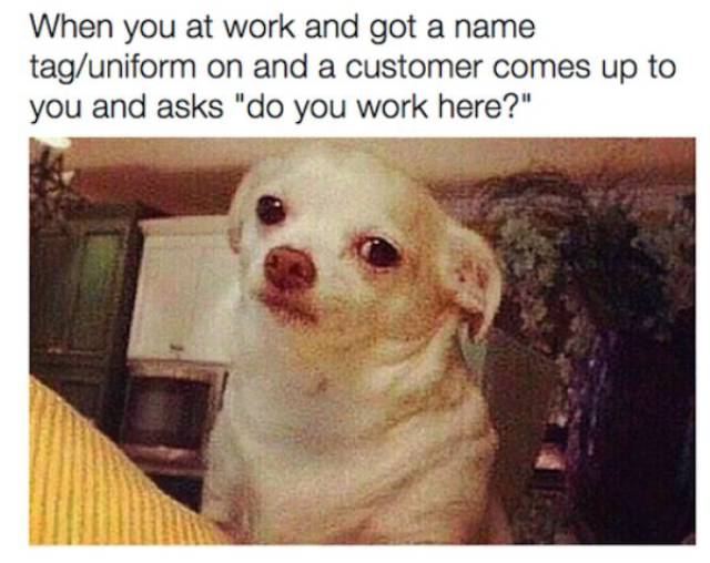 No Matter How Hard You Try You Can't Escape Work (47 pics)