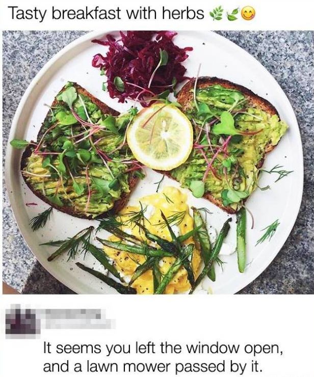 Comments That Are Even Better Than The Original Posts (14 pics)