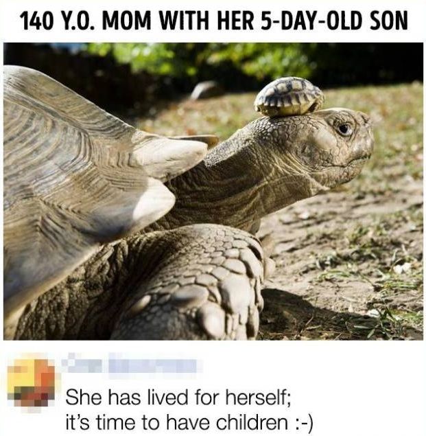 Comments That Are Even Better Than The Original Posts (14 pics)