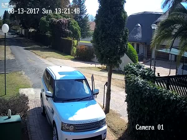 Attempted Robbery Failed
