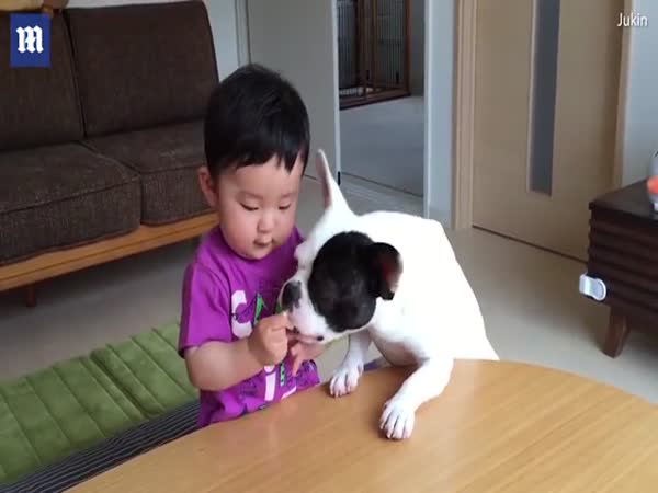 Baby Boy In Japan Unwillingly Shares Snack With Family Dog