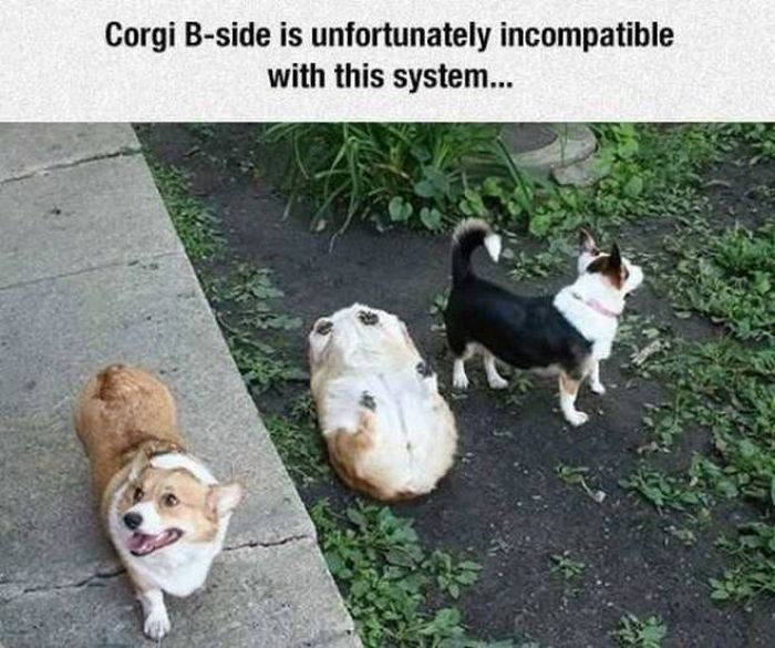 Acid Picdump (97 pics)