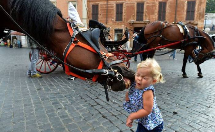 Pics That Were Definitely Taken At The Right Moment (40 pics)