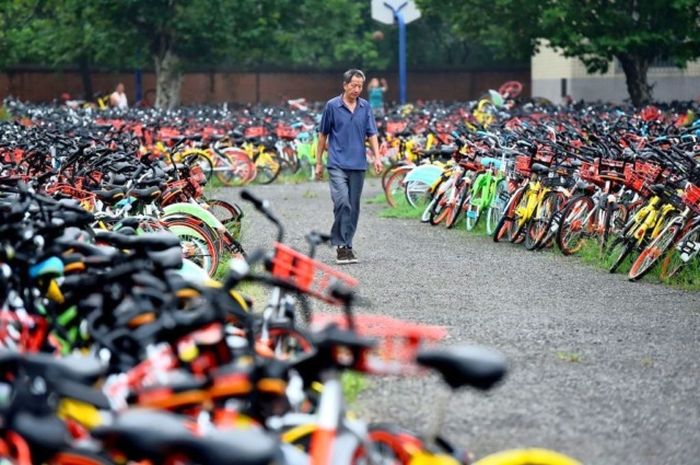 Ten Thousand Abandoned Bicycles In China (3 pics)