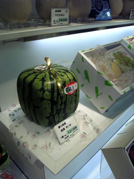 Only in Japan Would You See These Things In Public (52 pics)