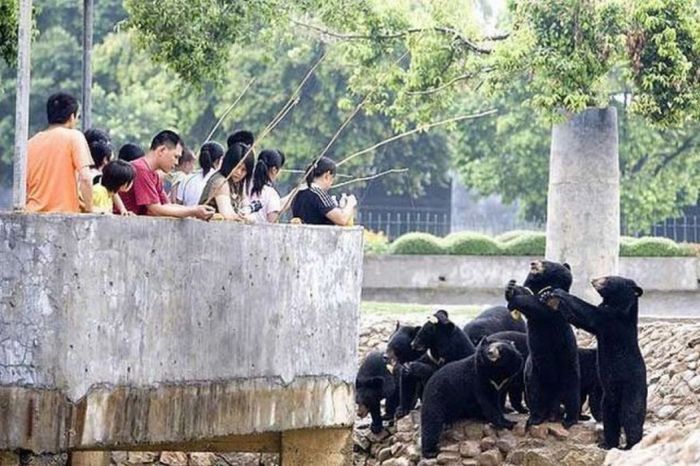Things Your Eyes Can Only See In China (55 pics)