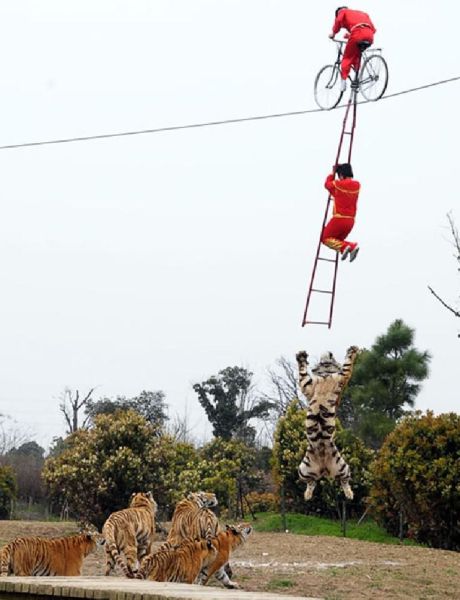 Things Your Eyes Can Only See In China (55 pics)
