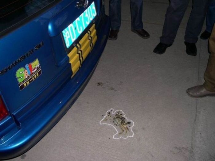 Things Your Eyes Can Only See In China (55 pics)