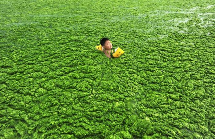 Things Your Eyes Can Only See In China (55 pics)