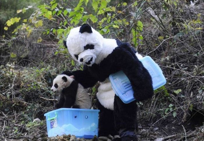 Things Your Eyes Can Only See In China (55 pics)