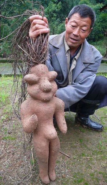 Things Your Eyes Can Only See In China (55 pics)