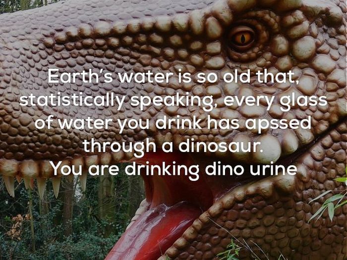 Awesome And Creepy Facts To Help You Wrap Up The Weekend (22 pics)