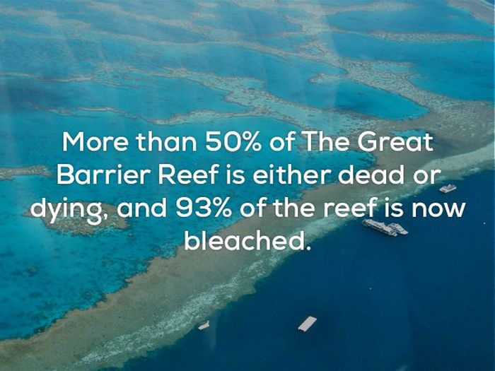 Awesome And Creepy Facts To Help You Wrap Up The Weekend (22 pics)