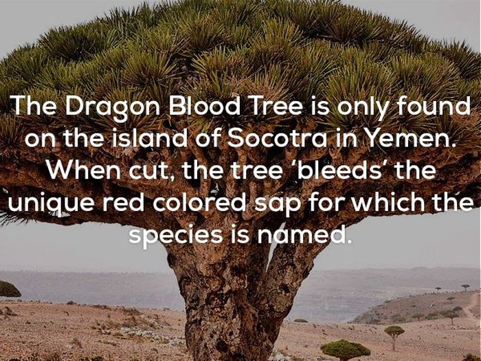 Awesome And Creepy Facts To Help You Wrap Up The Weekend (22 pics)