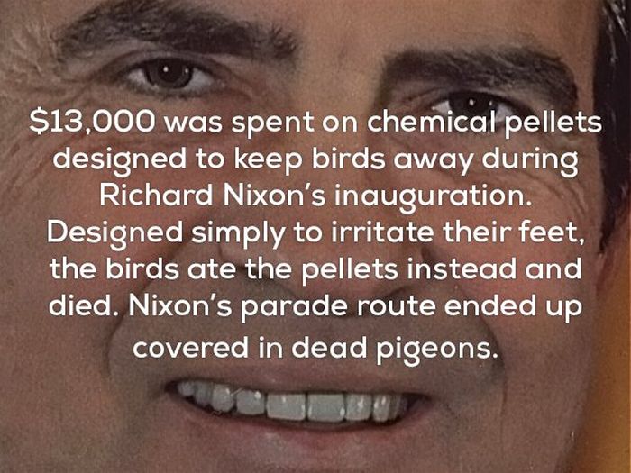 Awesome And Creepy Facts To Help You Wrap Up The Weekend (22 pics)