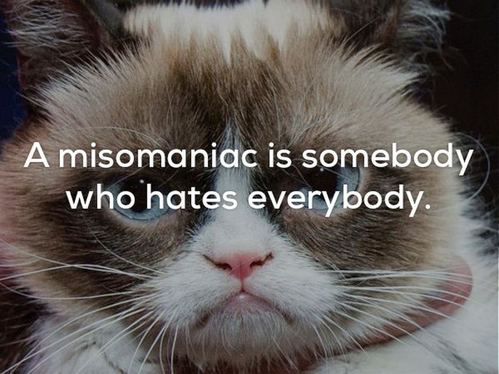 Awesome And Creepy Facts To Help You Wrap Up The Weekend (22 pics)