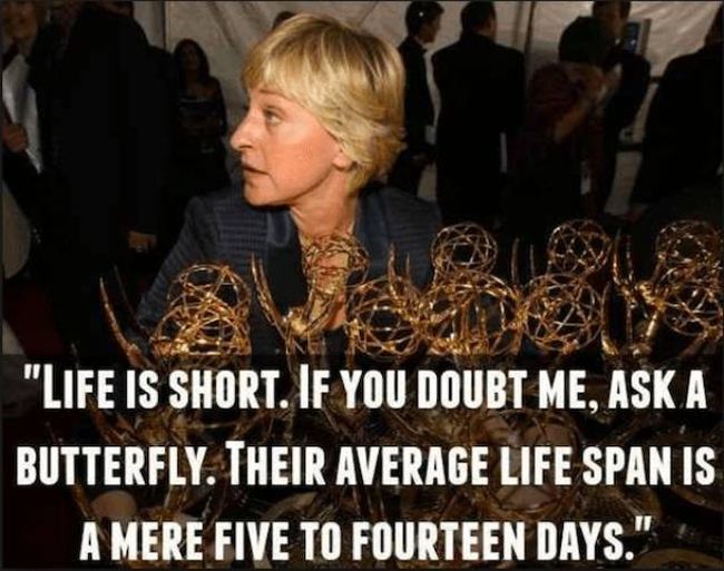 You Can't Deny That Ellen DeGeneres Speaks The Truth (28 pics)