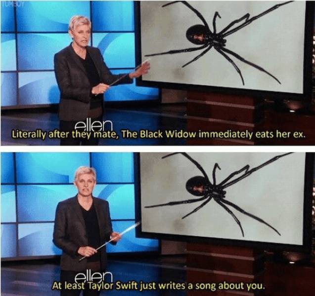 You Can't Deny That Ellen DeGeneres Speaks The Truth (28 pics)