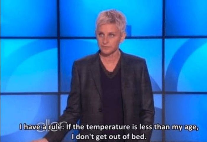 You Can't Deny That Ellen DeGeneres Speaks The Truth (28 pics)