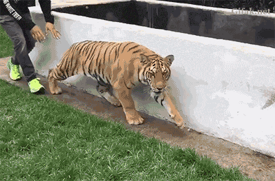 Gifs That Will Remind You To Expect The Unexpected (17 gifs)