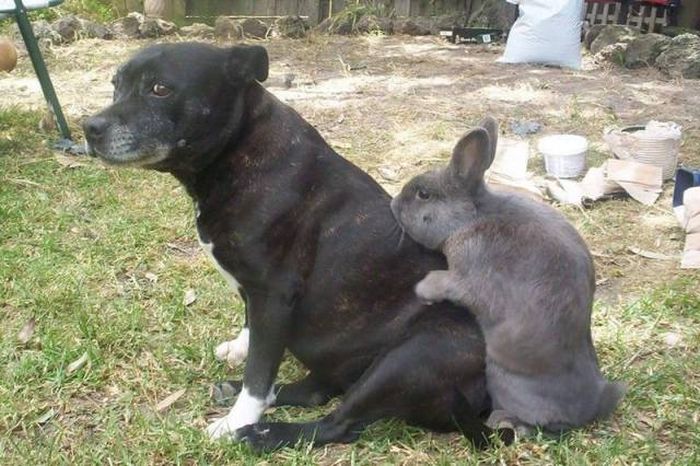 Acid Picdump (97 pics)