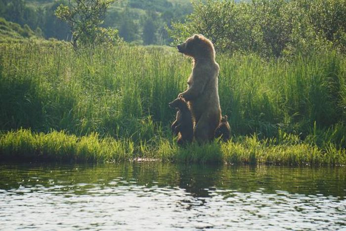 Acid Picdump (97 pics)