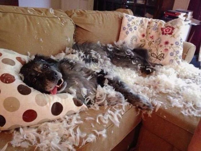 Acid Picdump (97 pics)