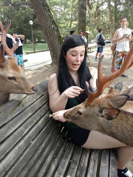 Acid Picdump (97 pics)