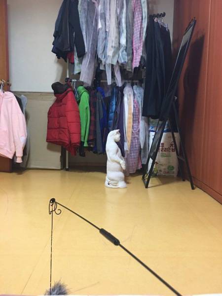 Acid Picdump (97 pics)