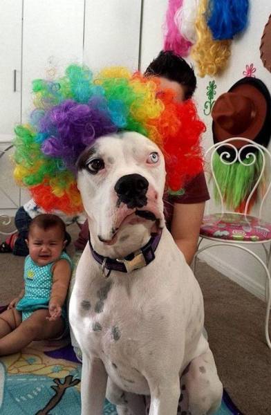 Acid Picdump (97 pics)