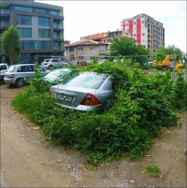 Acid Picdump (97 pics)