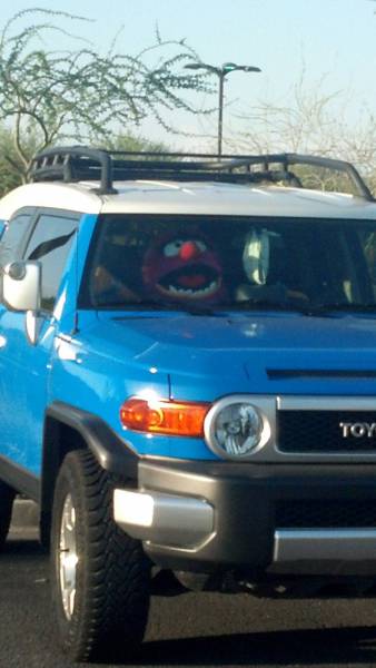 Acid Picdump (97 pics)