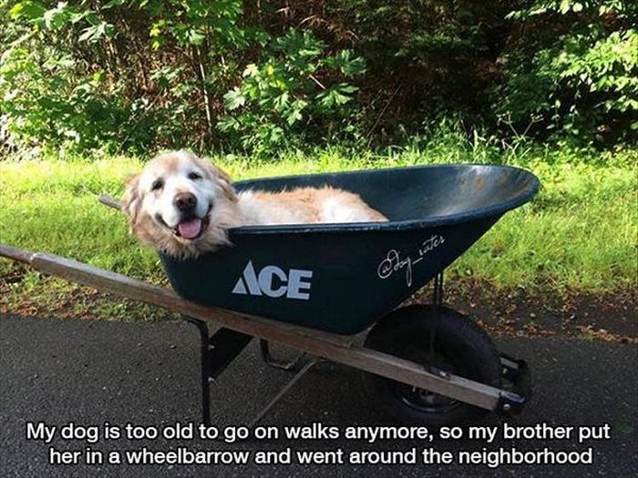 Pics That Will Tug At Your Heart Strings And Hit You In The Feels (17 pics)