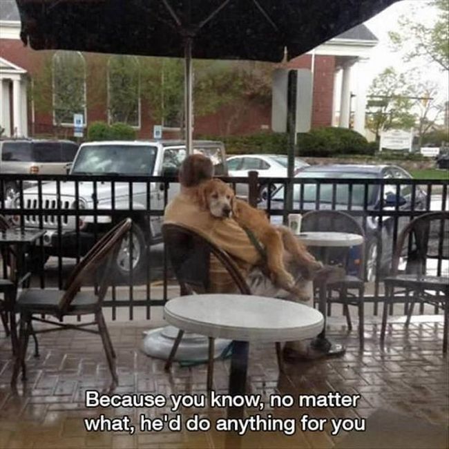 Pics That Will Tug At Your Heart Strings And Hit You In The Feels (17 pics)