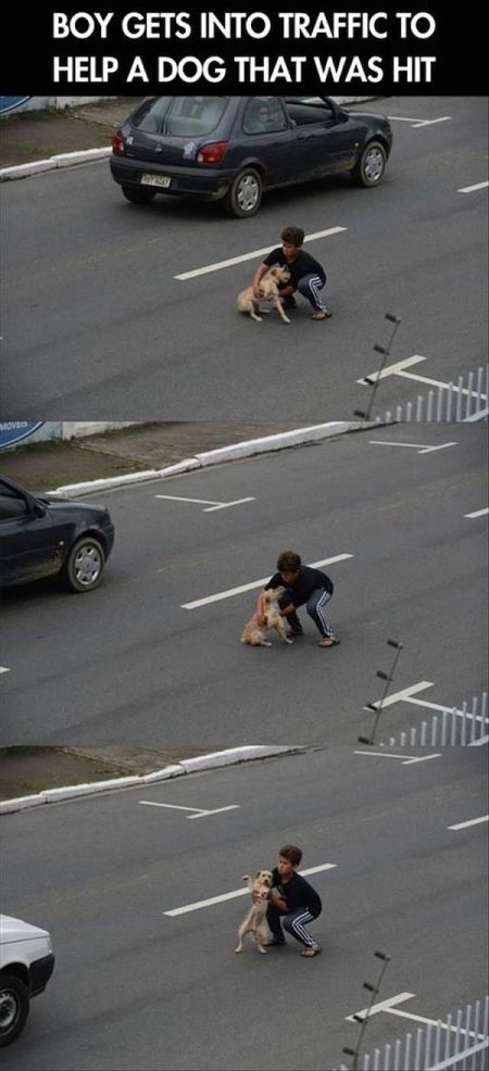 Pics That Will Tug At Your Heart Strings And Hit You In The Feels (17 pics)