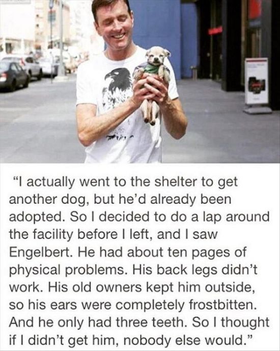 Pics That Will Tug At Your Heart Strings And Hit You In The Feels (17 pics)