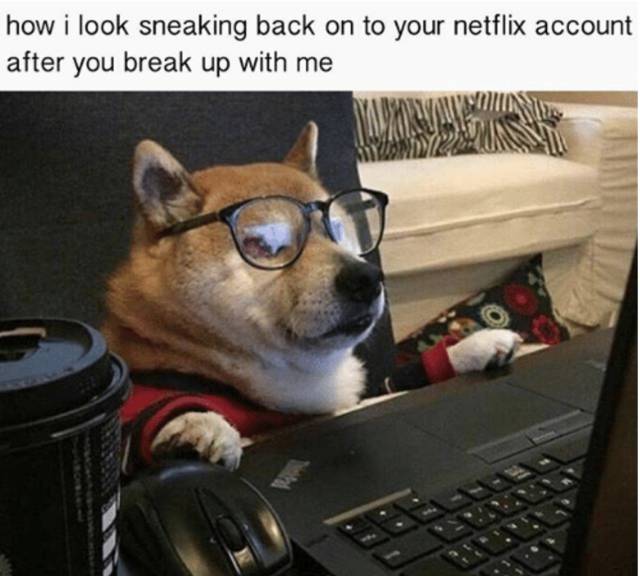 Hilarious Memes Inspired By Break Ups (35 pics)
