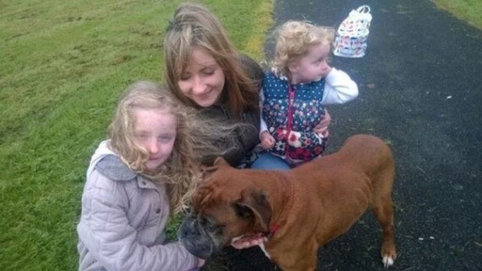 Little Girl Rescues Dog From An Unexpected Location (7 pics)