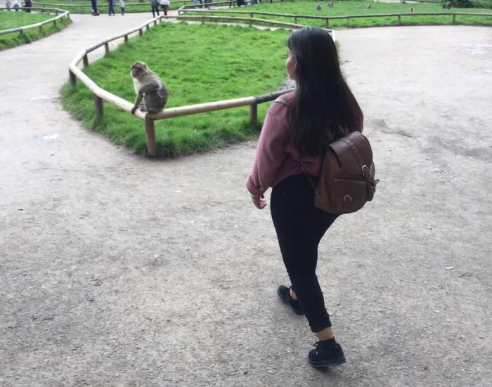 When Taking A Picture With A Monkey Goes Wrong (4 pics)