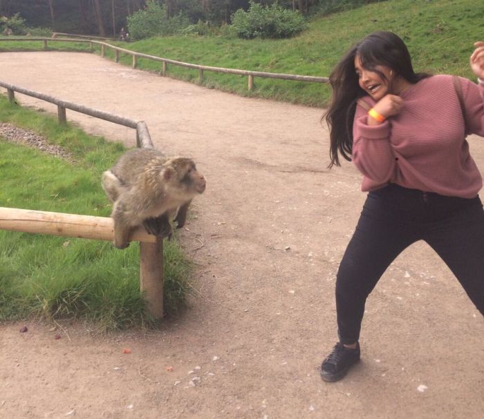 When Taking A Picture With A Monkey Goes Wrong (4 pics)