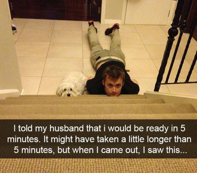 Snapchat Was Definitely Created For Dogs (35 pics)