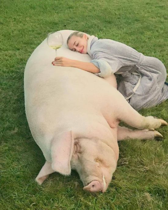 Acid Picdump (90 pics)