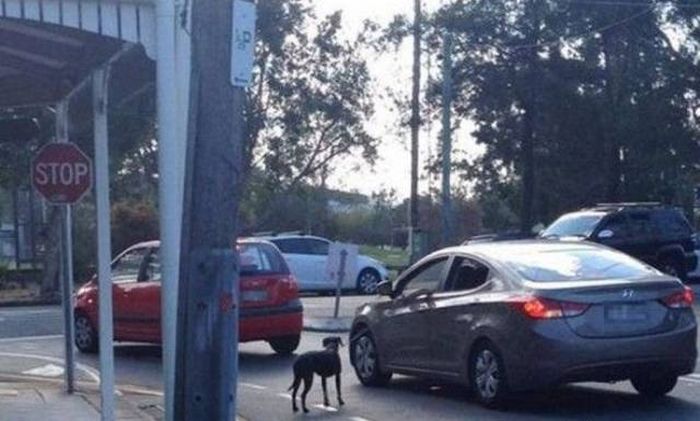Acid Picdump (90 pics)