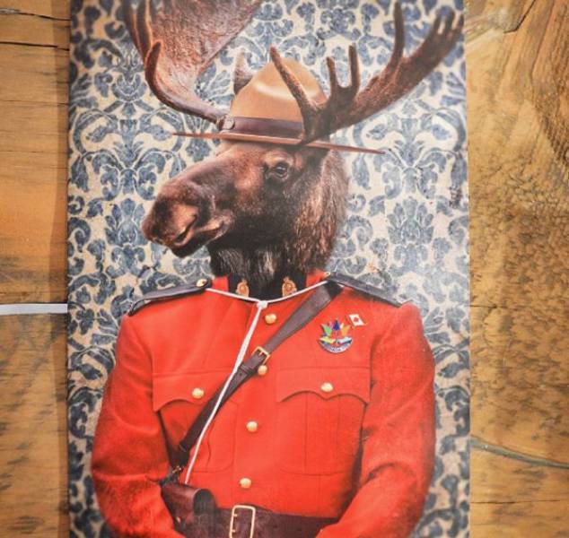 Canadian Things That Seriously Only Happen In Canada (40 pics)