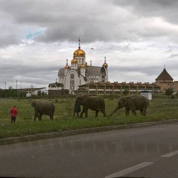 Russia Is A Place That Will Always Make You Say WTF (39 pics)