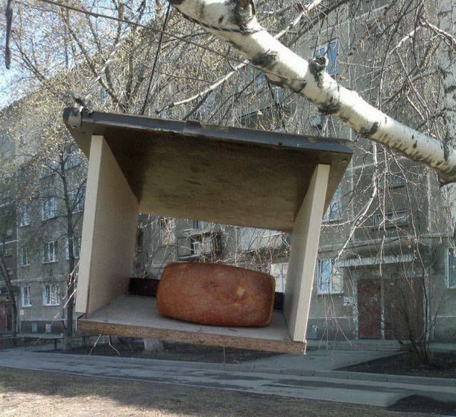 Russia Is A Place That Will Always Make You Say WTF (39 pics)